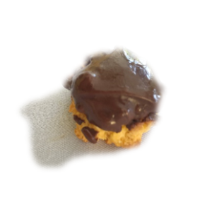 Chocolate Dipped Macaroons